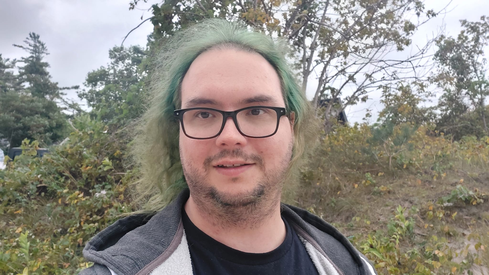 A man with long green hair stands on a grassy hill in front of some trees, the sky is cloudy